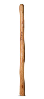 Medium Size Natural Finish Didgeridoo (TW454)